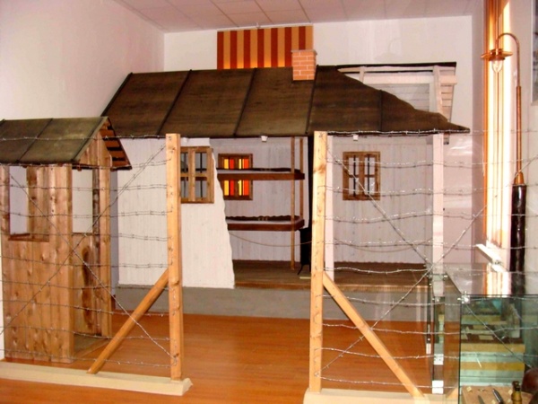 muzeul gorjului poza